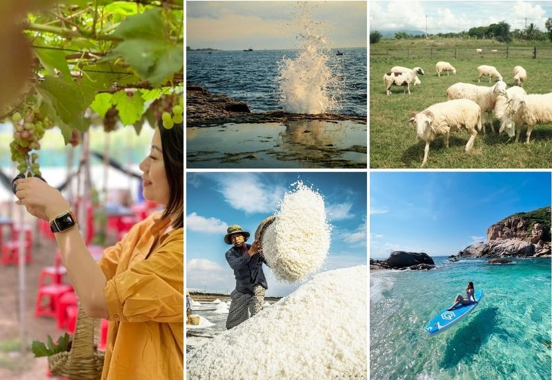 du lịch phú yên ninh thuận - Hình 3