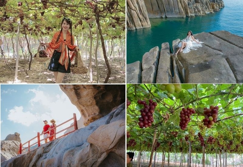 du lịch phú yên ninh thuận - Hình 5