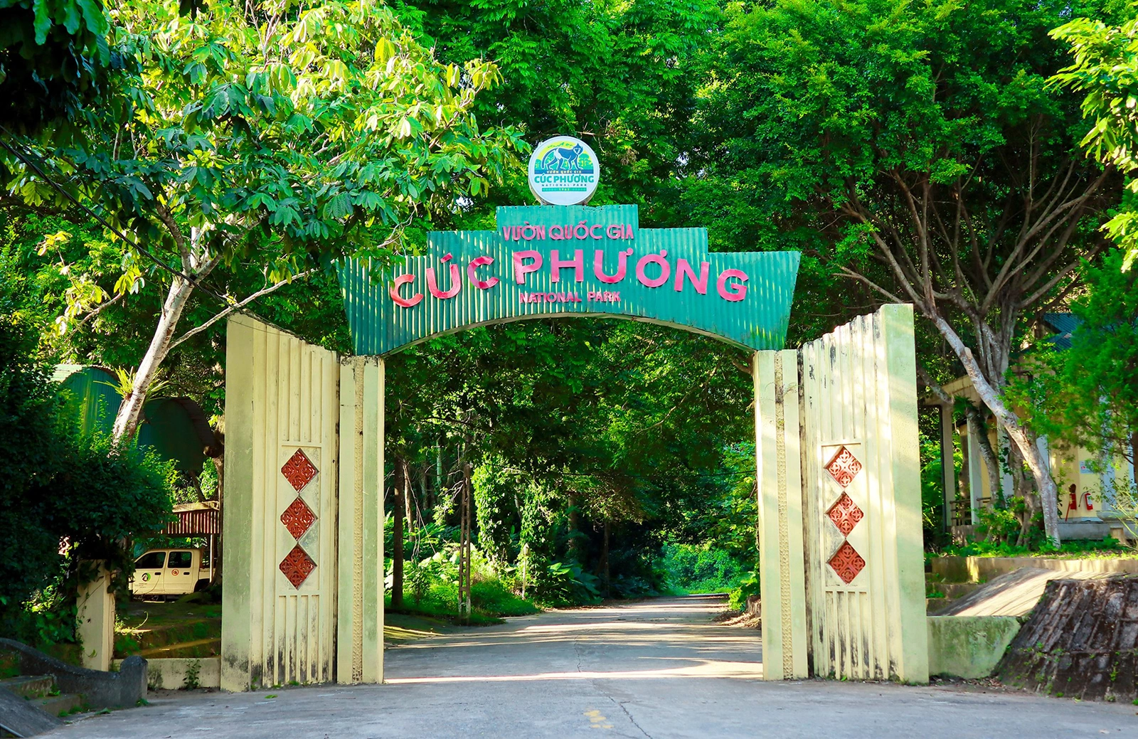 du lịch rừng cúc phương - Hình 1