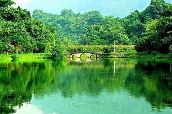 du lịch rừng cúc phương - Hình 3