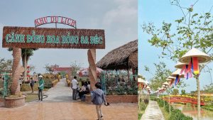 du lịch sa đéc