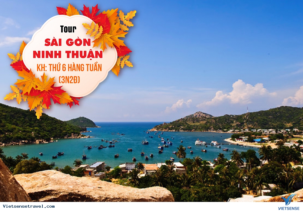 du lịch sài gòn ninh thuận - Hình 5