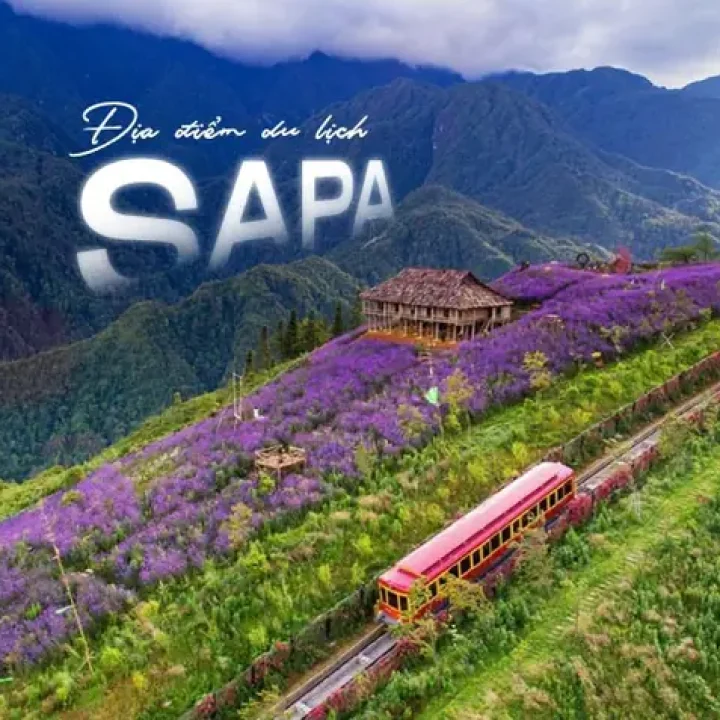 du lịch sâp - Hình 2