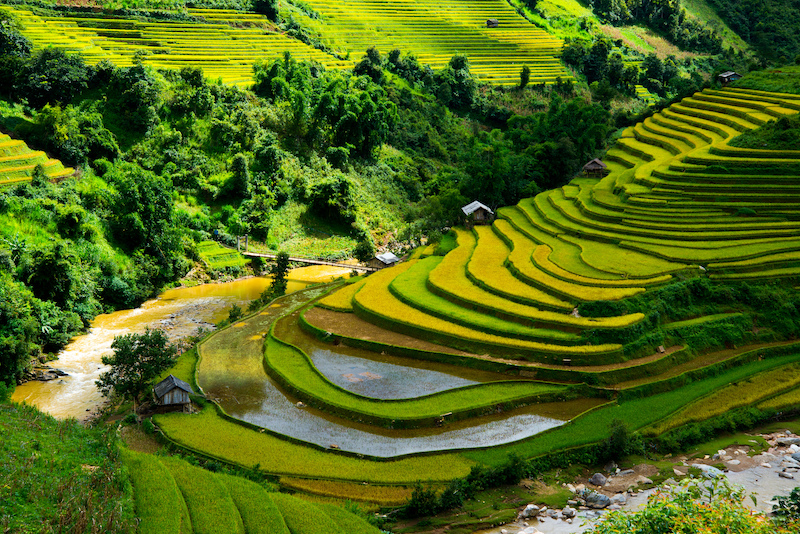 du lịch sapa mùa nào đẹp nhất - Hình 5