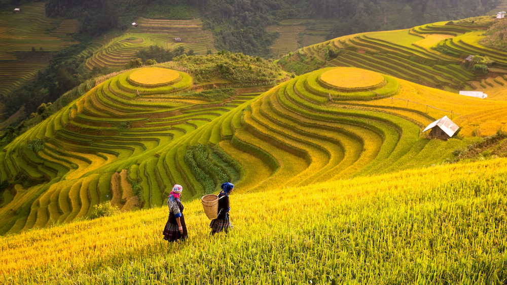 du lịch sapa mùa nào đẹp - Hình 1