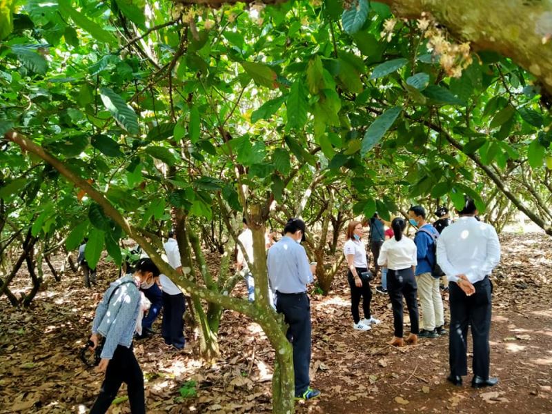 du lịch sinh thái nông nghiệp daklak - Hình 5