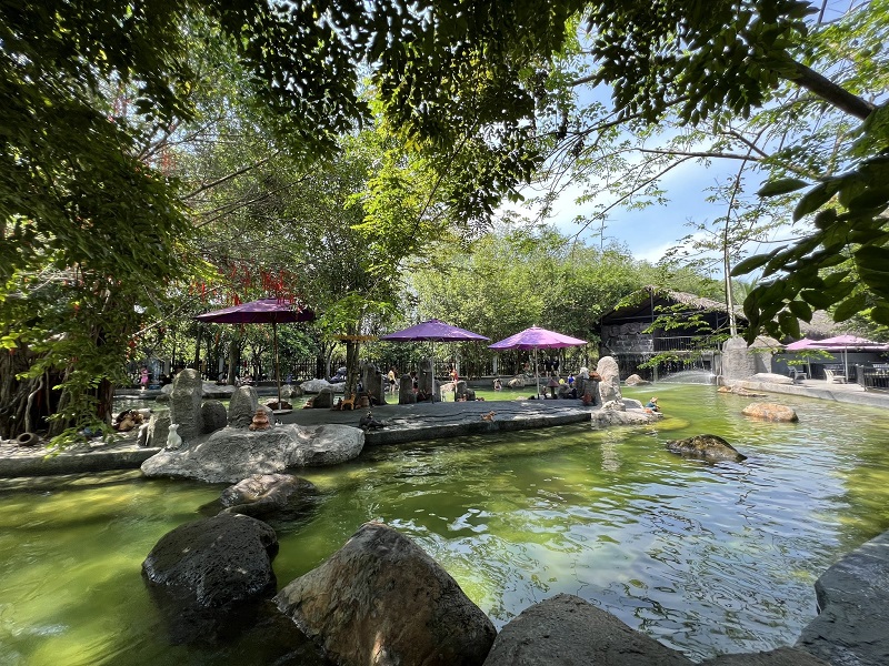 du lịch sinh thái song long - Hình 3