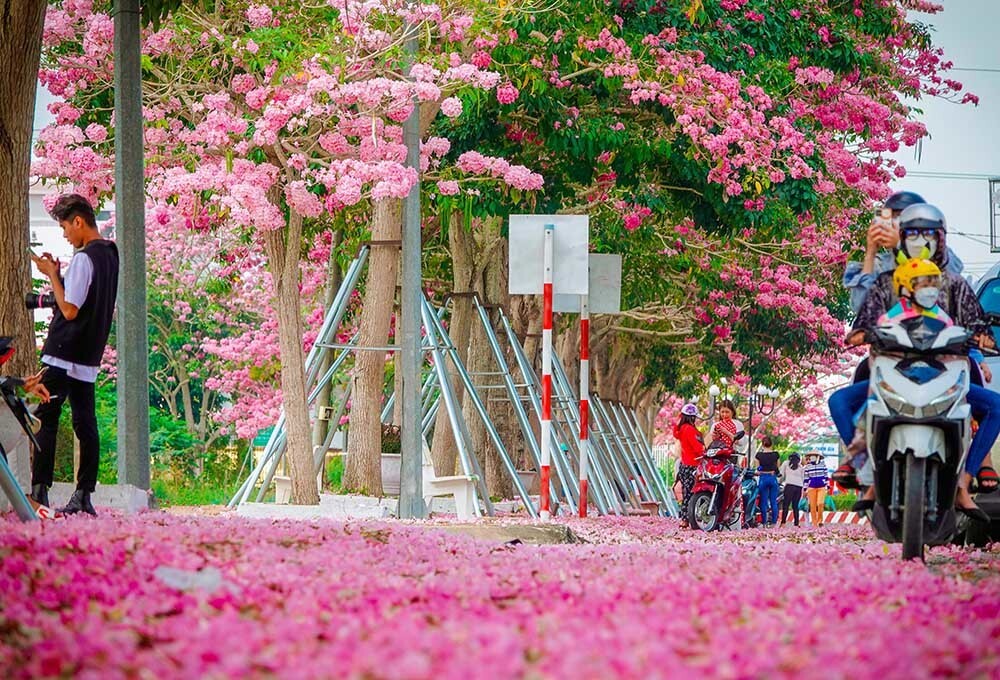 du lịch sóc trăng 2 ngày 1 đêm - Hình 4