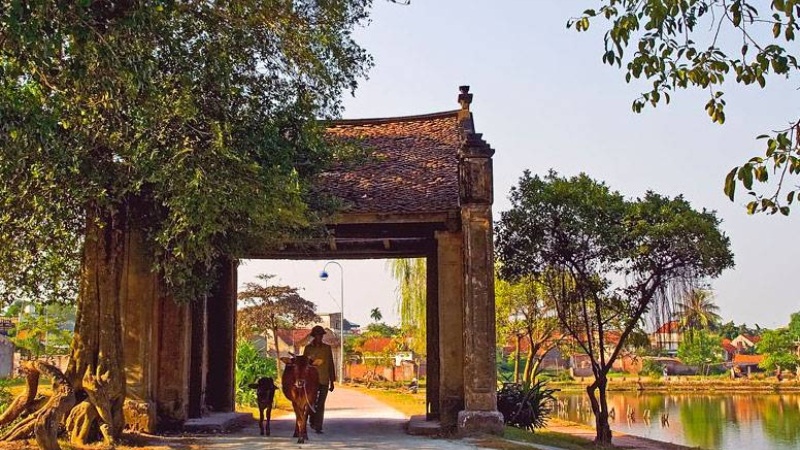du lịch sơn tây - Hình 4