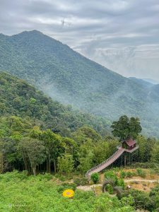 du lịch tam đảo có gì