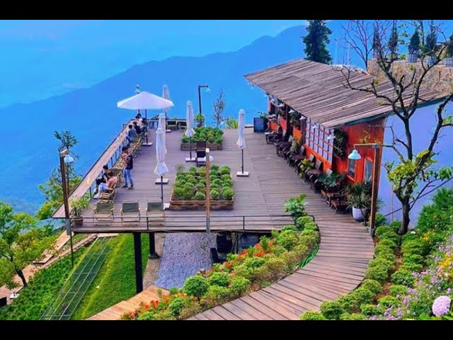 du lịch tam đảo vĩnh phúc - Hình 5