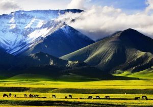 du lịch tân cương tự túc