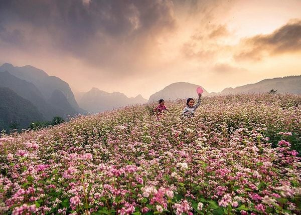 du lịch tây bắc mùa nào đẹp nhất - Hình 3