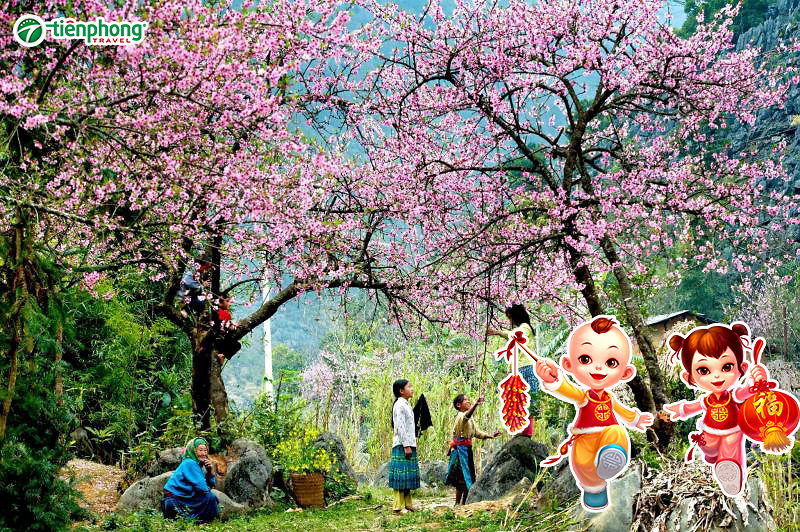 du lịch tết âm lịch - Hình 5