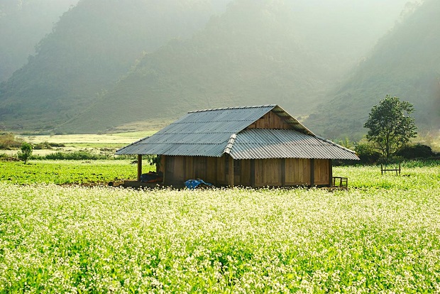 du lịch tháng 11 - Hình 2