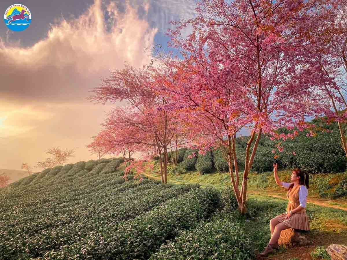 du lịch tháng 12 - Hình 4