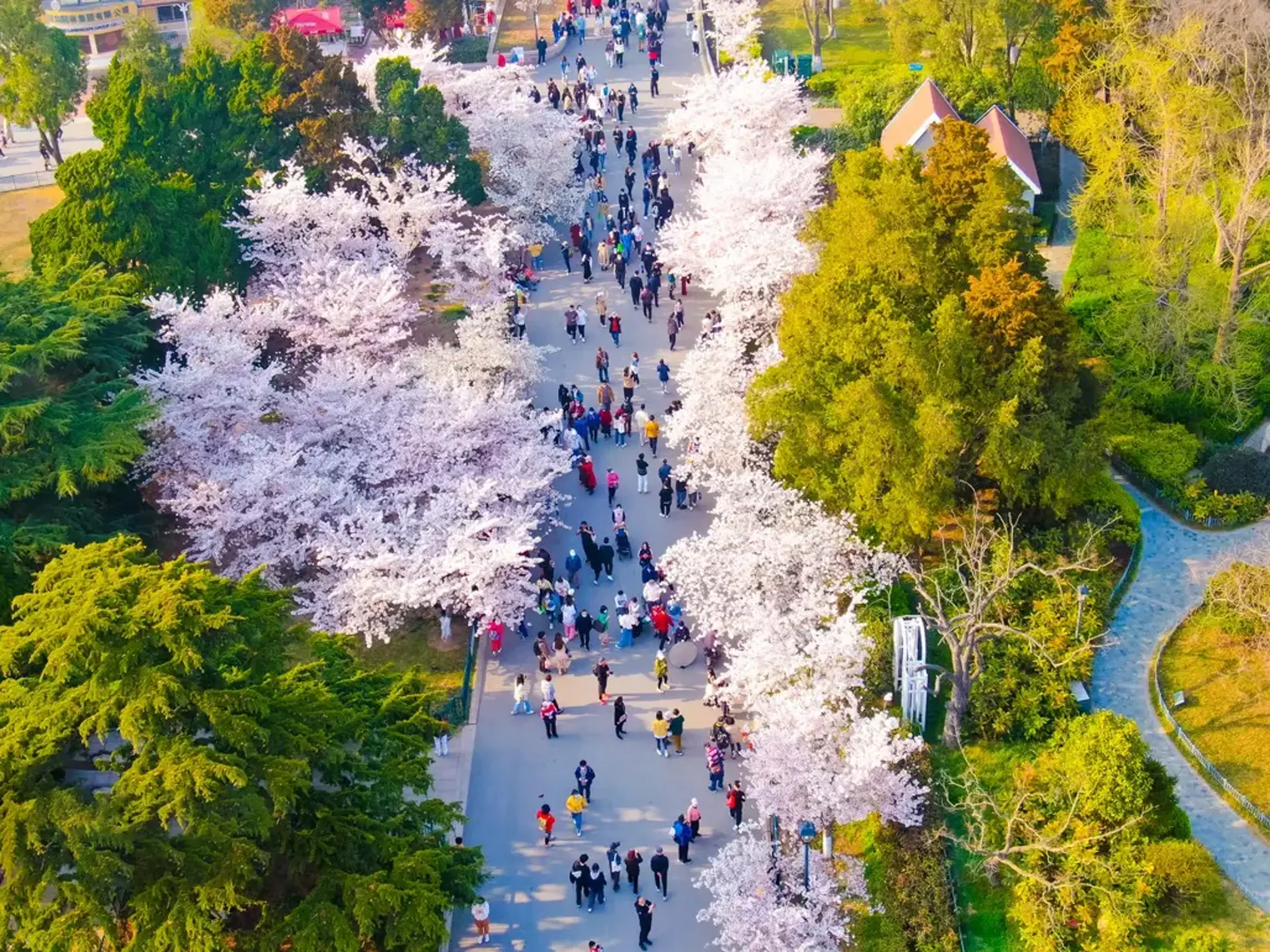 du lịch thanh đảo - Hình 3