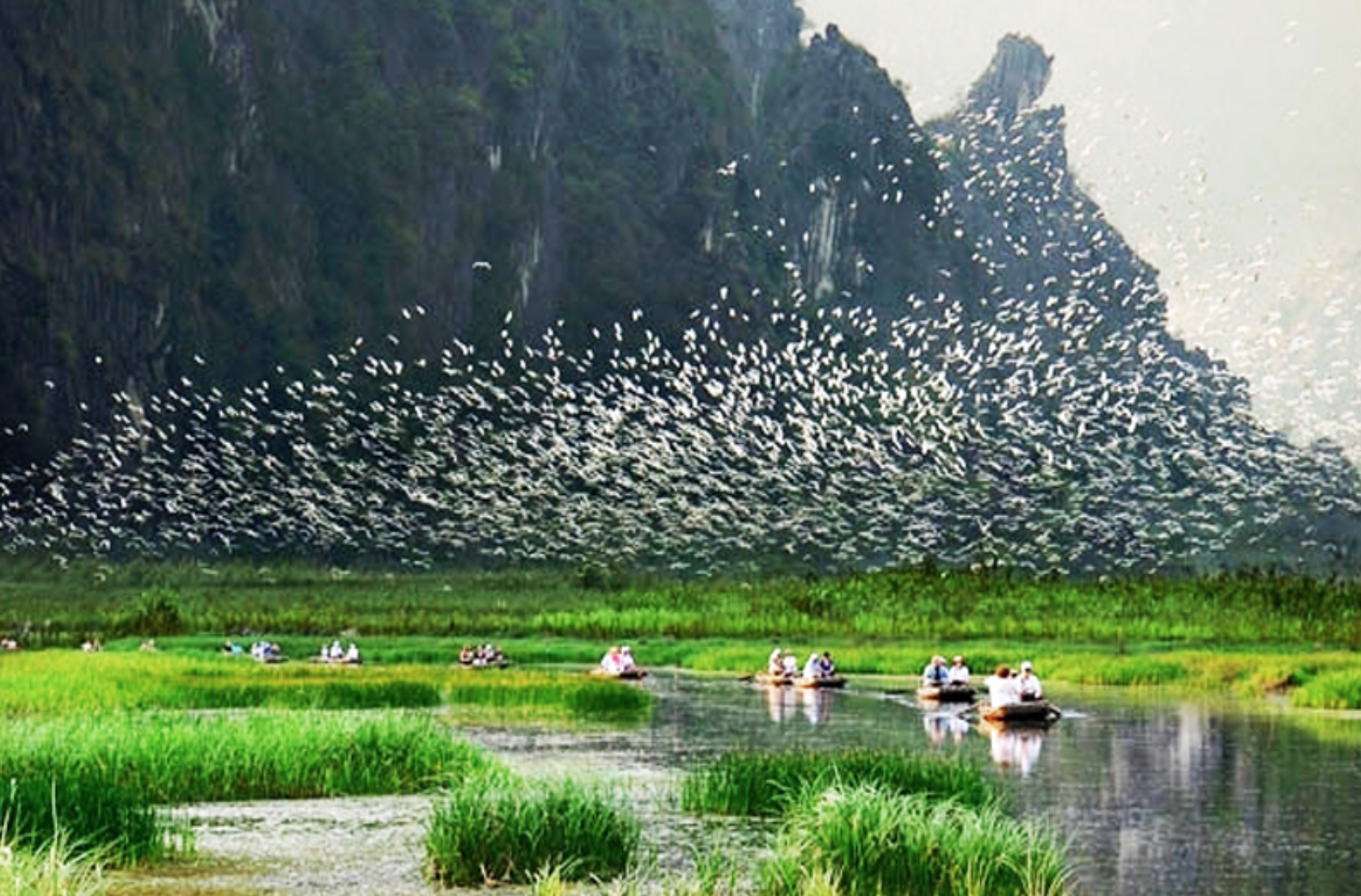 du lịch thung nham 1 ngày - Hình 4
