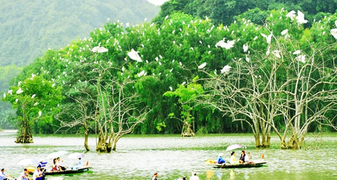 du lịch thung nham 2 ngày 1 đêm - Hình 4