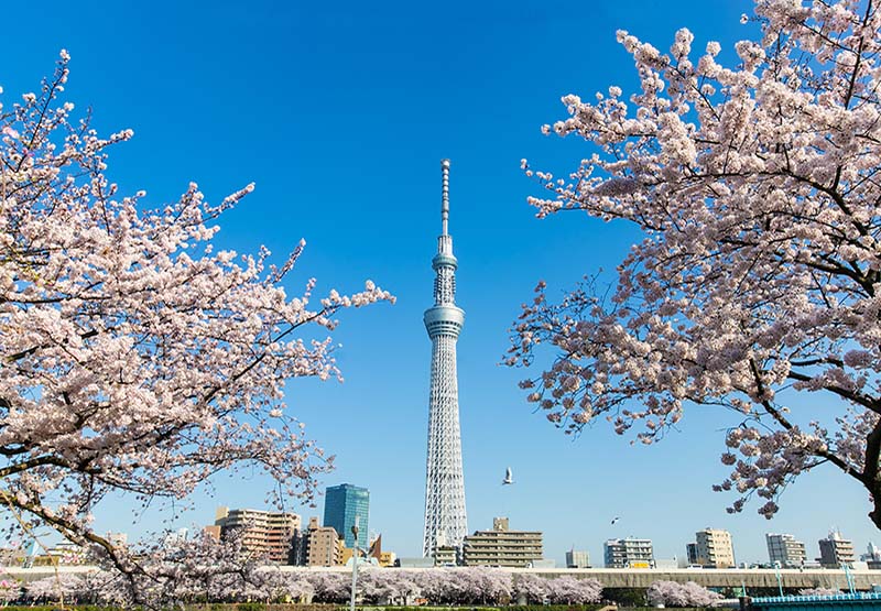 du lịch tokyo - Hình 3