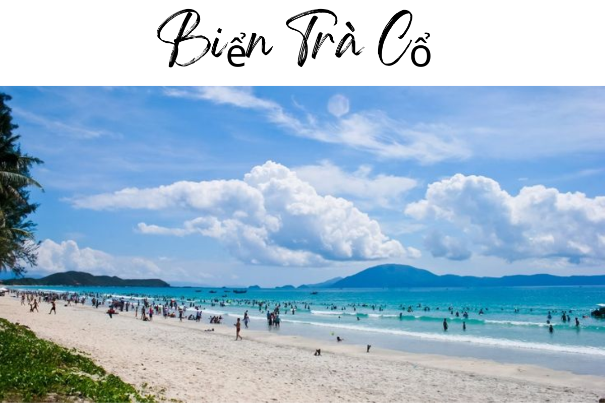 du lịch trà cổ - Hình 3