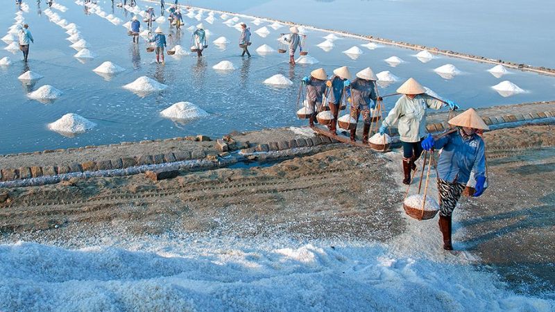 du lịch tuy phong bình thuận - Hình 5