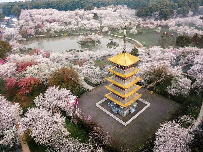du lịch vũ hán - Hình 2
