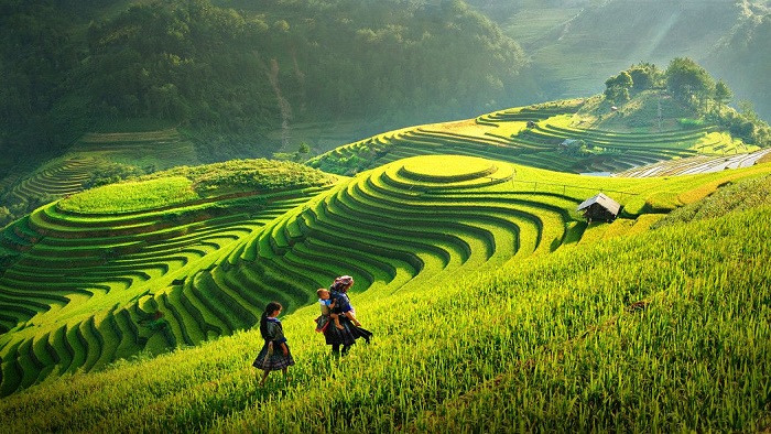 du lịch xanh - Hình 2