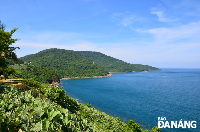 du lịch xanh đà nẵng - Hình 5