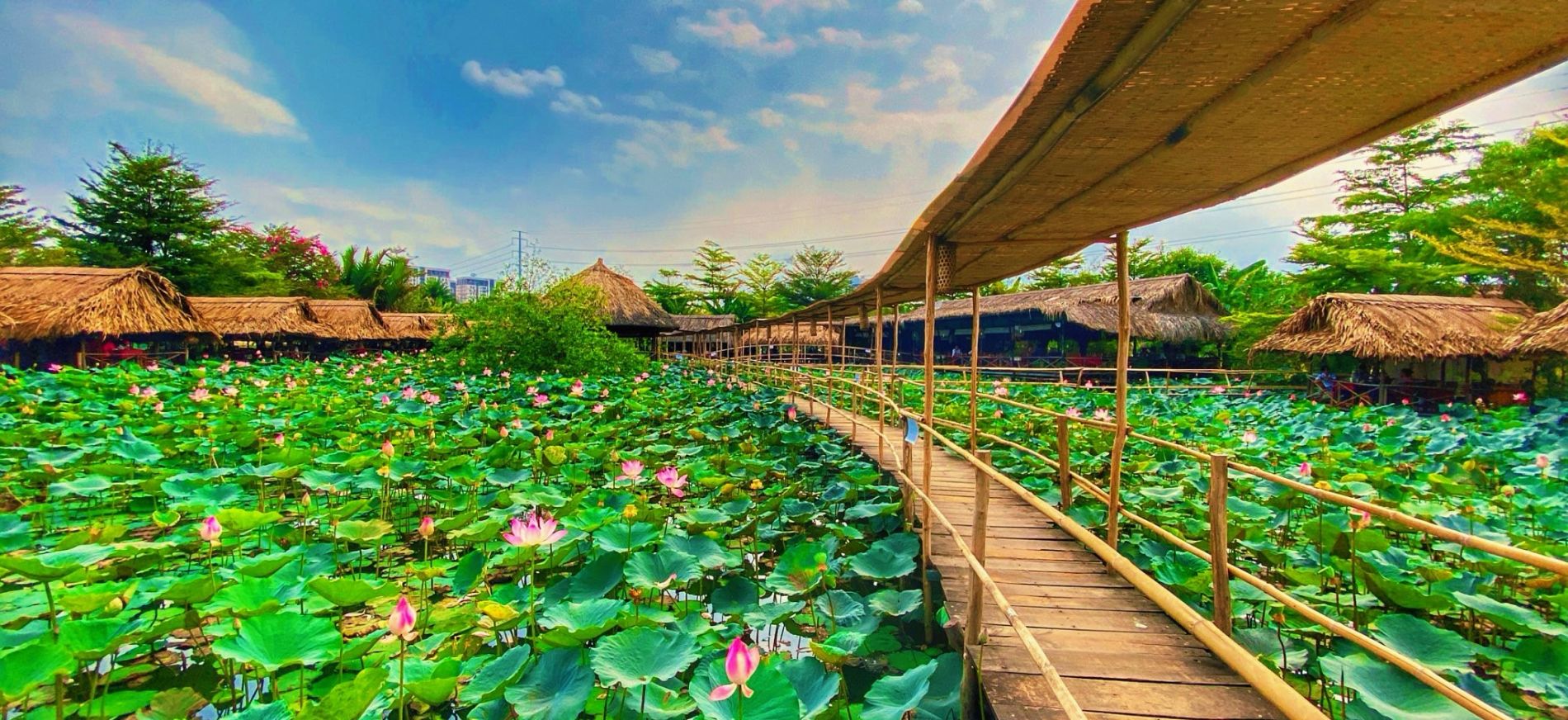 du lịch xanh ở tphcm - Hình 3