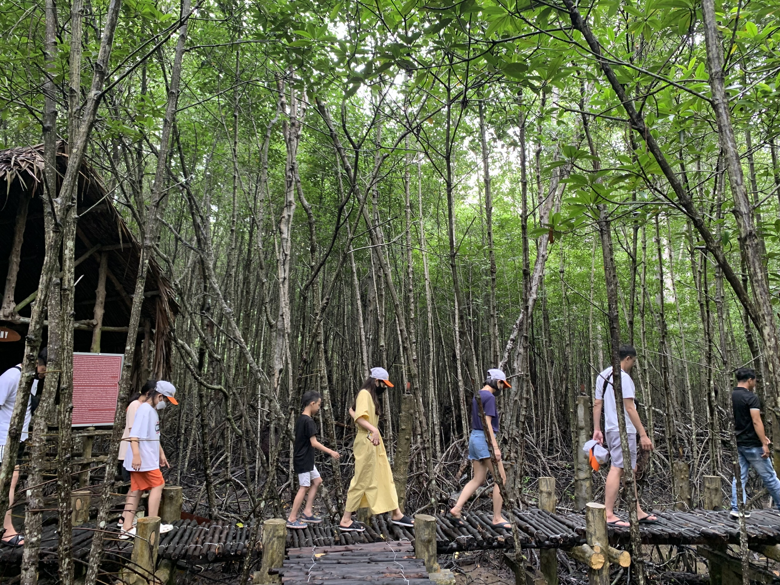 du lịch xanh ở tphcm - Hình 5