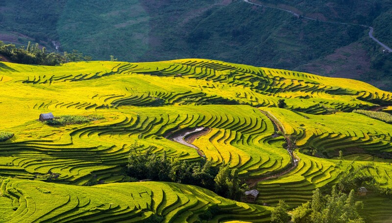 du lịch y tý - Hình 1