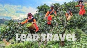 du lịch yên bái 2 ngày 1 đêm
