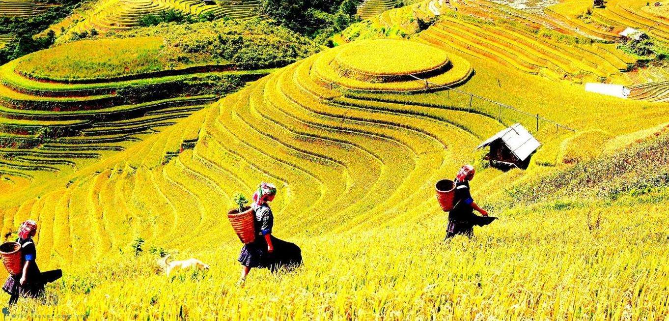 du lịch yên bái - Hình 4