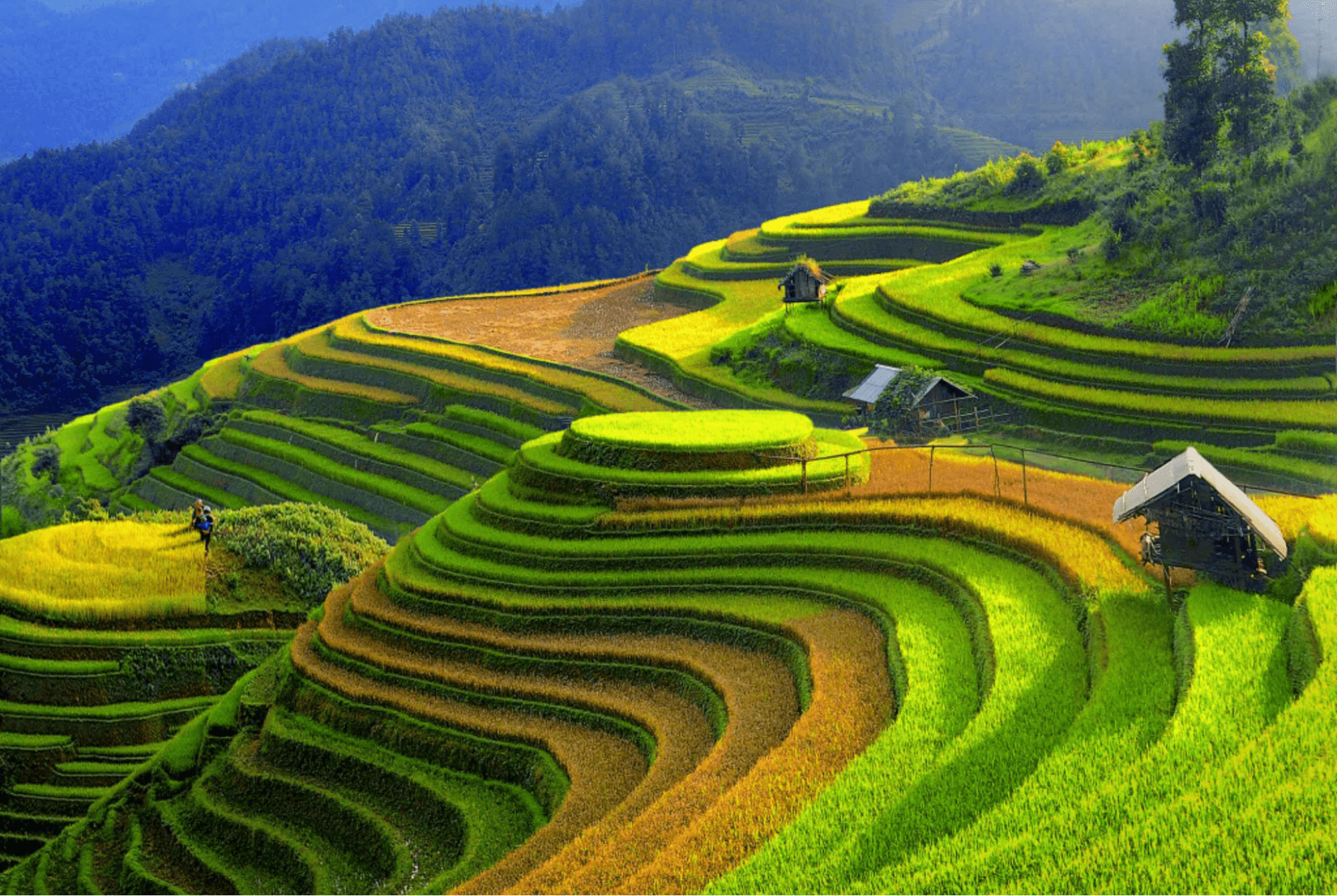 du lịch yên bái có gì - Hình 5