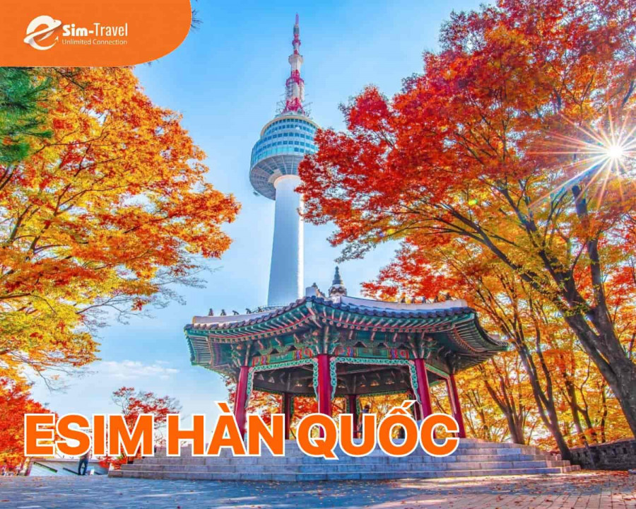 esim du lịch hàn quốc - Hình 2