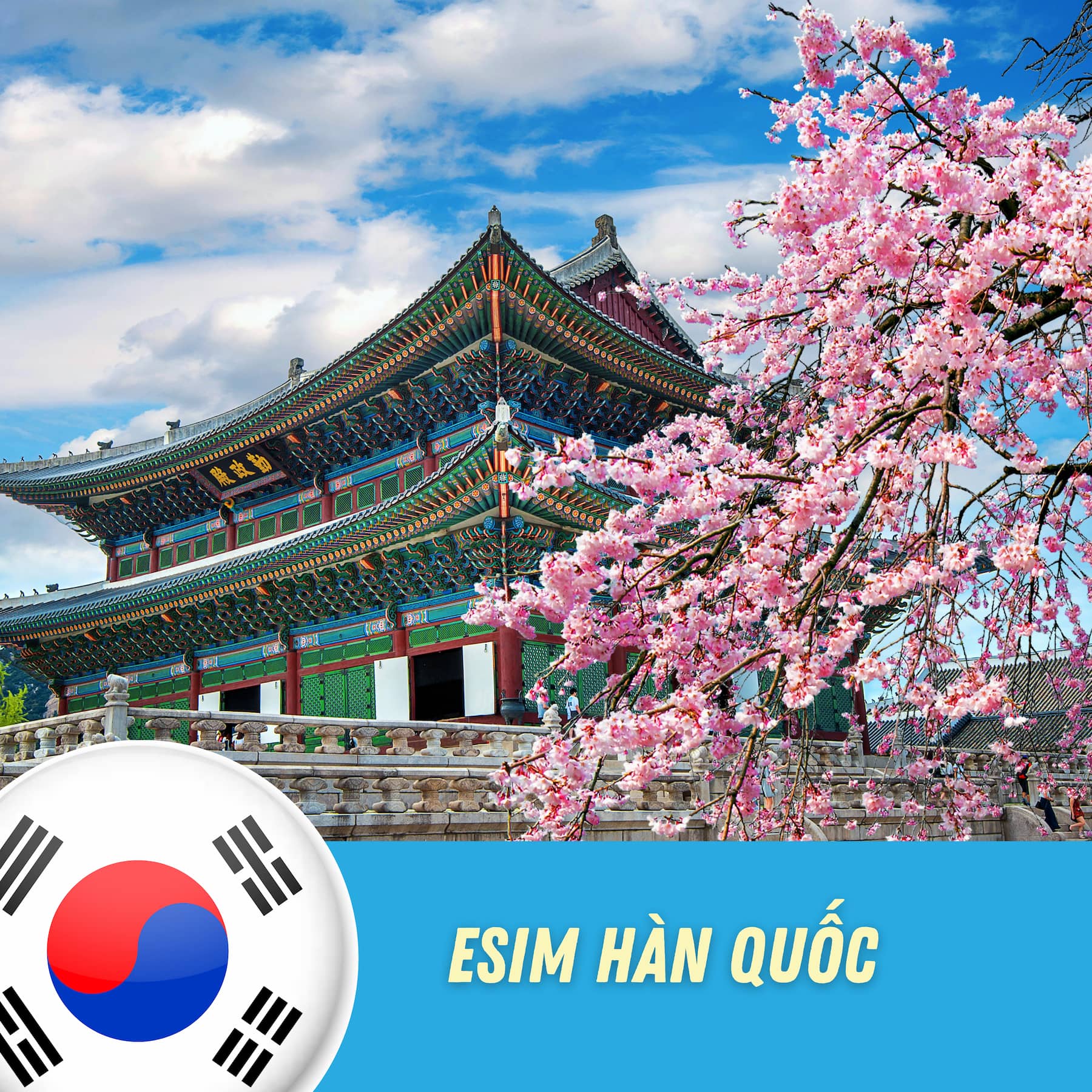 esim du lịch hàn quốc - Hình 3
