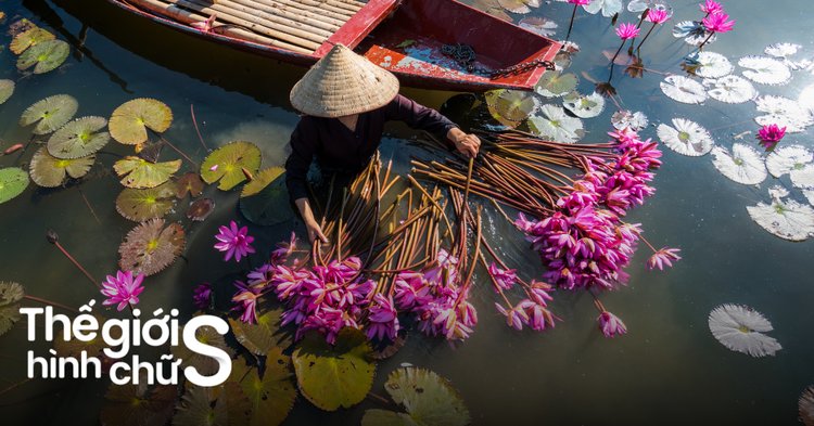 giới thiệu về một địa điểm du lịch ngắn gọn - Hình 3