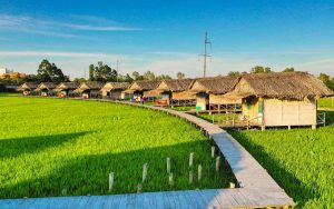 hình ảnh của khu du lịch sinh thái mỹ phước thành