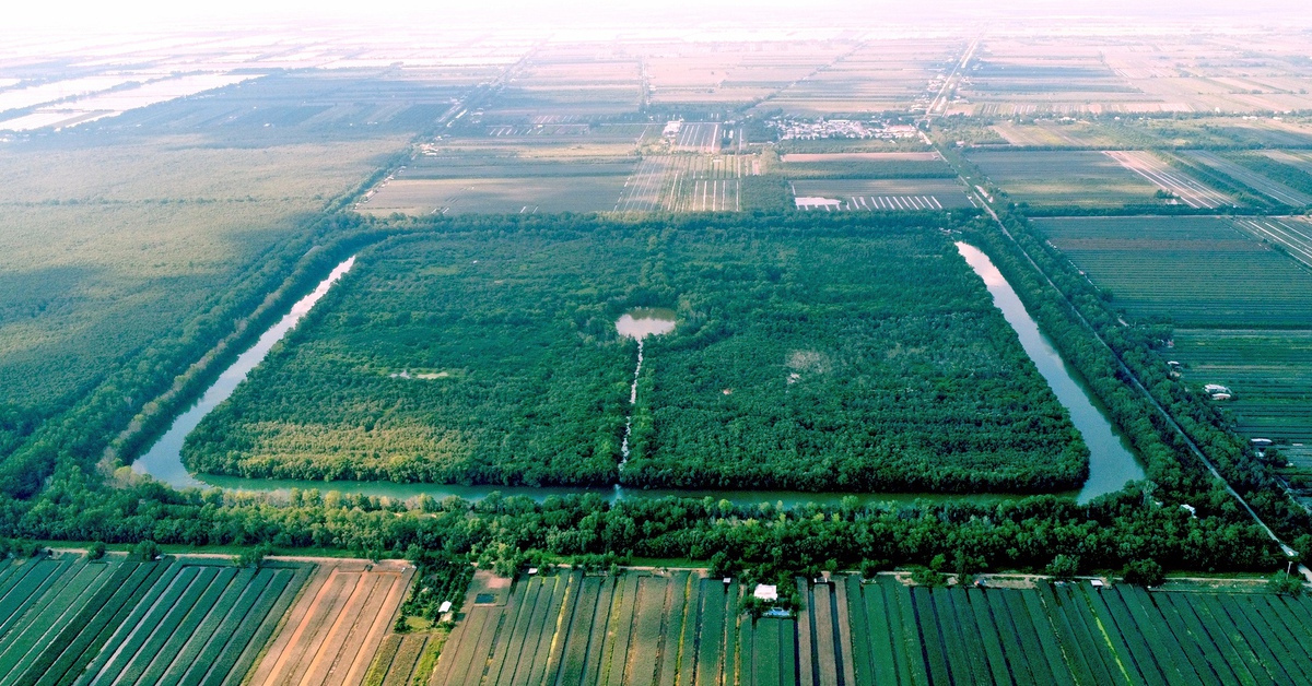 khu bảo tồn sinh thái đồng tháp mười - Hình 3