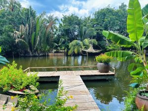 khu du lịch bình quới