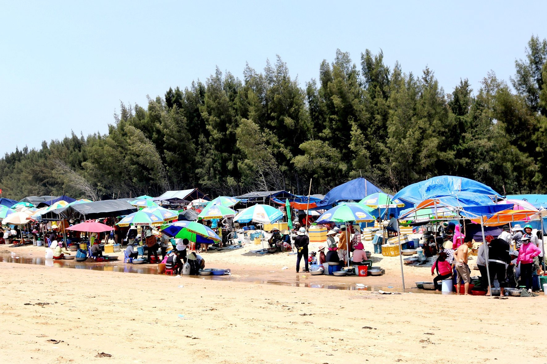 khu du lịch cam bình - Hình 4