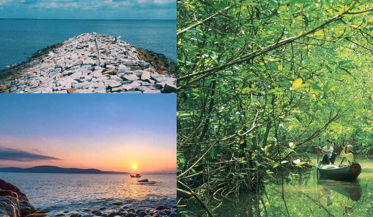 khu du lịch cần giờ - Hình 3