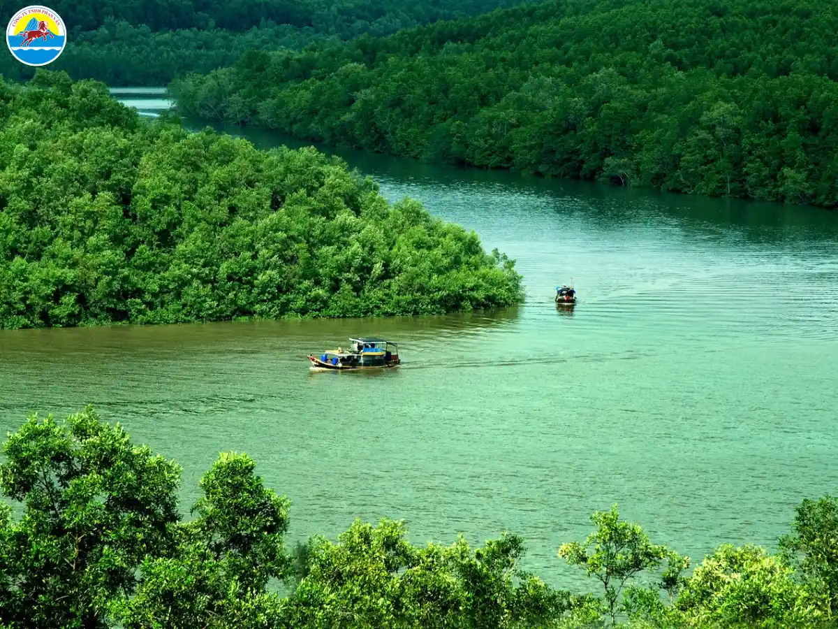 khu du lịch cần giờ - Hình 5