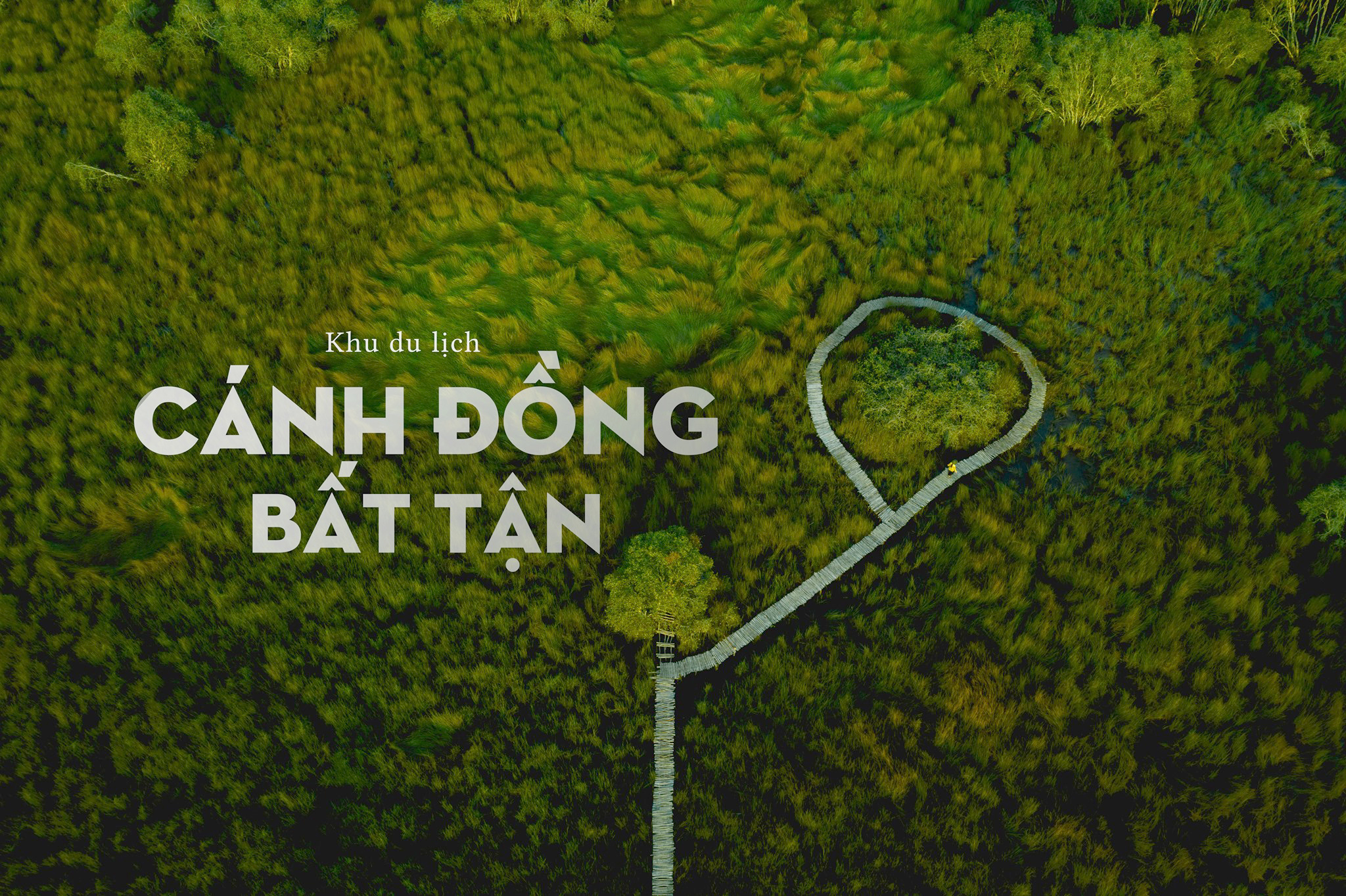 khu du lịch cánh đồng bất tận - Hình 2