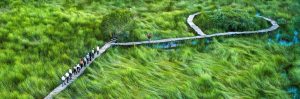 khu du lịch cánh đồng bất tận