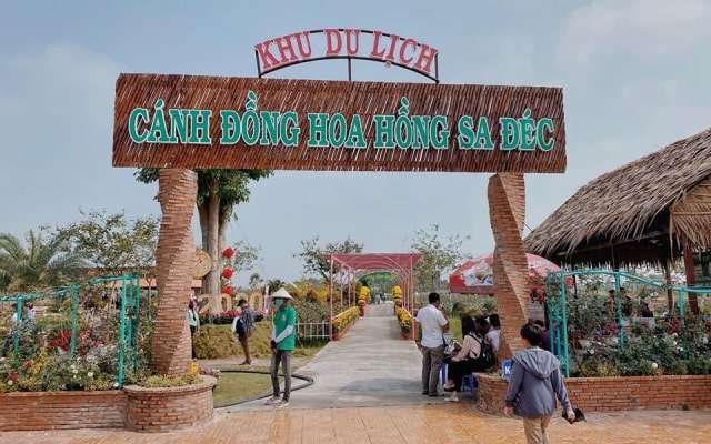 khu du lịch cánh đồng hoa hồng sa đéc - Hình 3