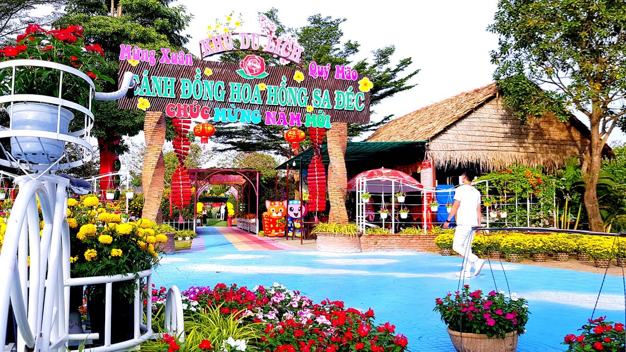 khu du lịch cánh đồng hoa hồng sa đéc - Hình 5