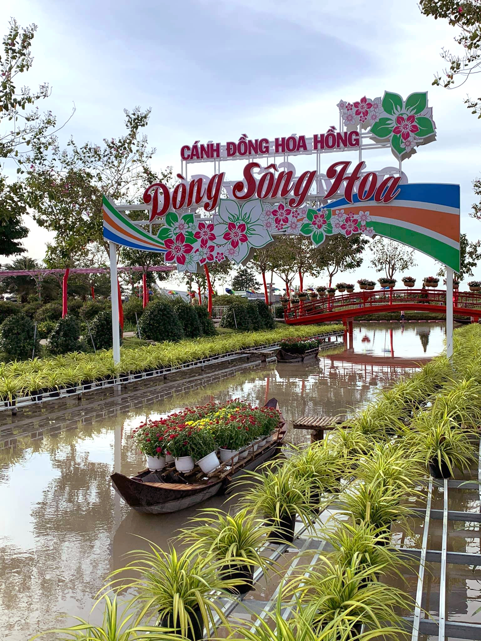 khu du lịch cánh đồng hoa hồng sa đéc - Hình 1