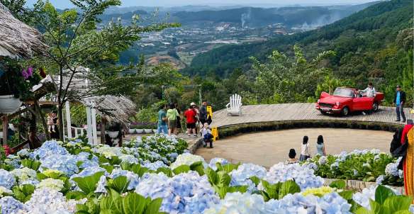 khu du lịch cao nguyên hoa đà lạt - Hình 1